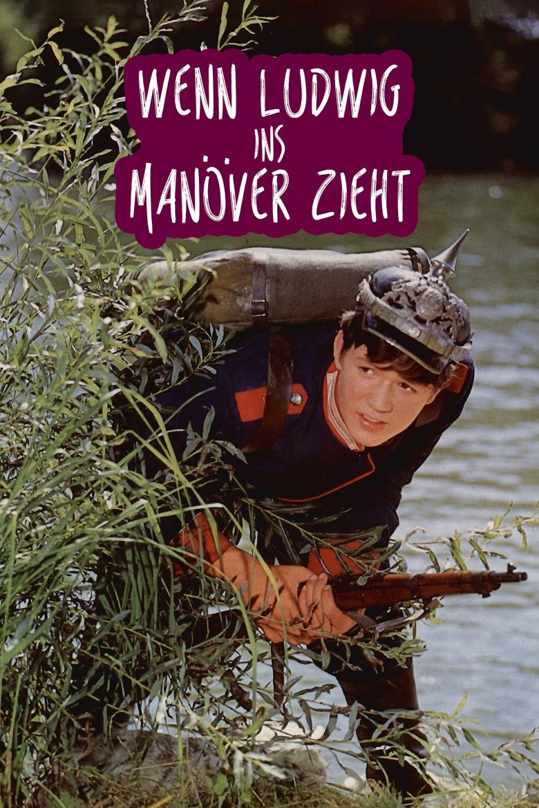 Poster of Wenn Ludwig ins Manöver zieht