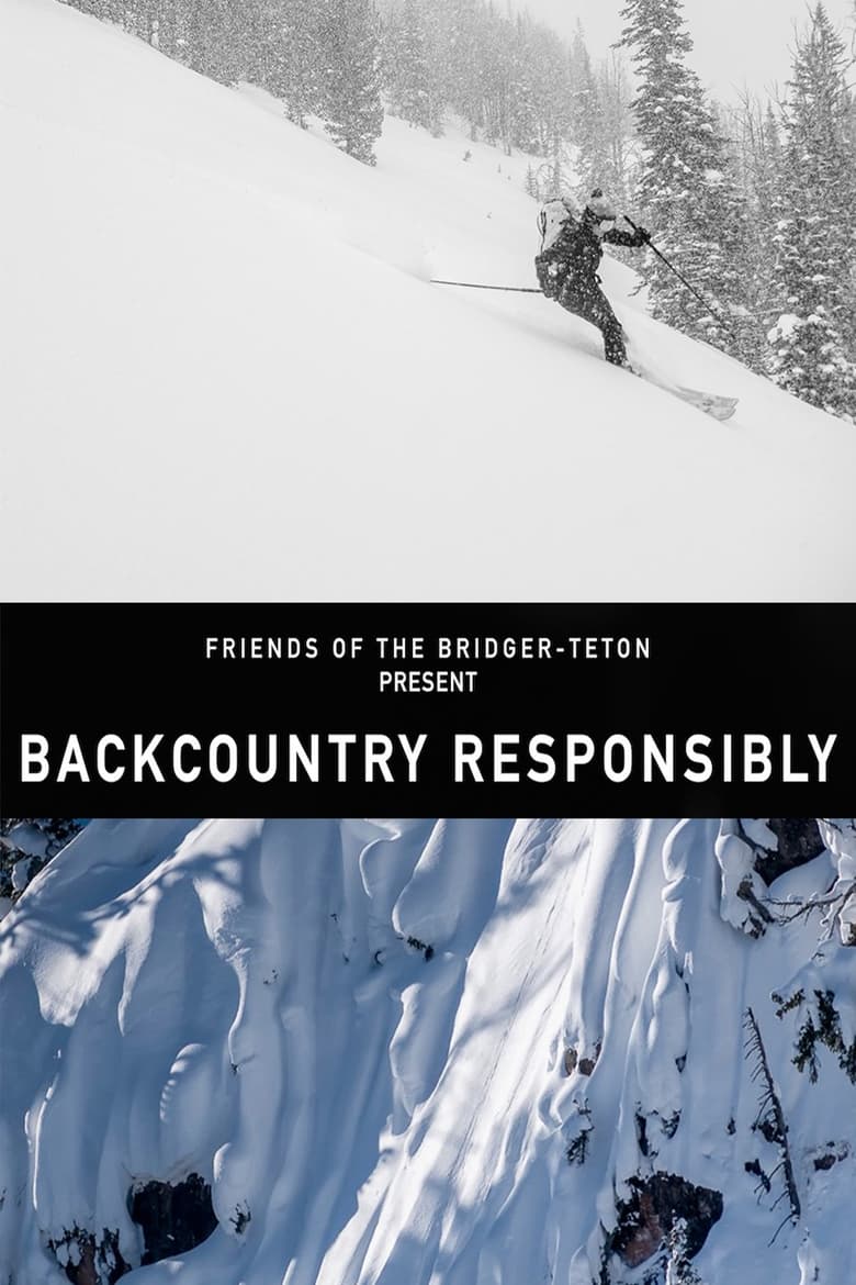 Poster of Backcountry Responsibility