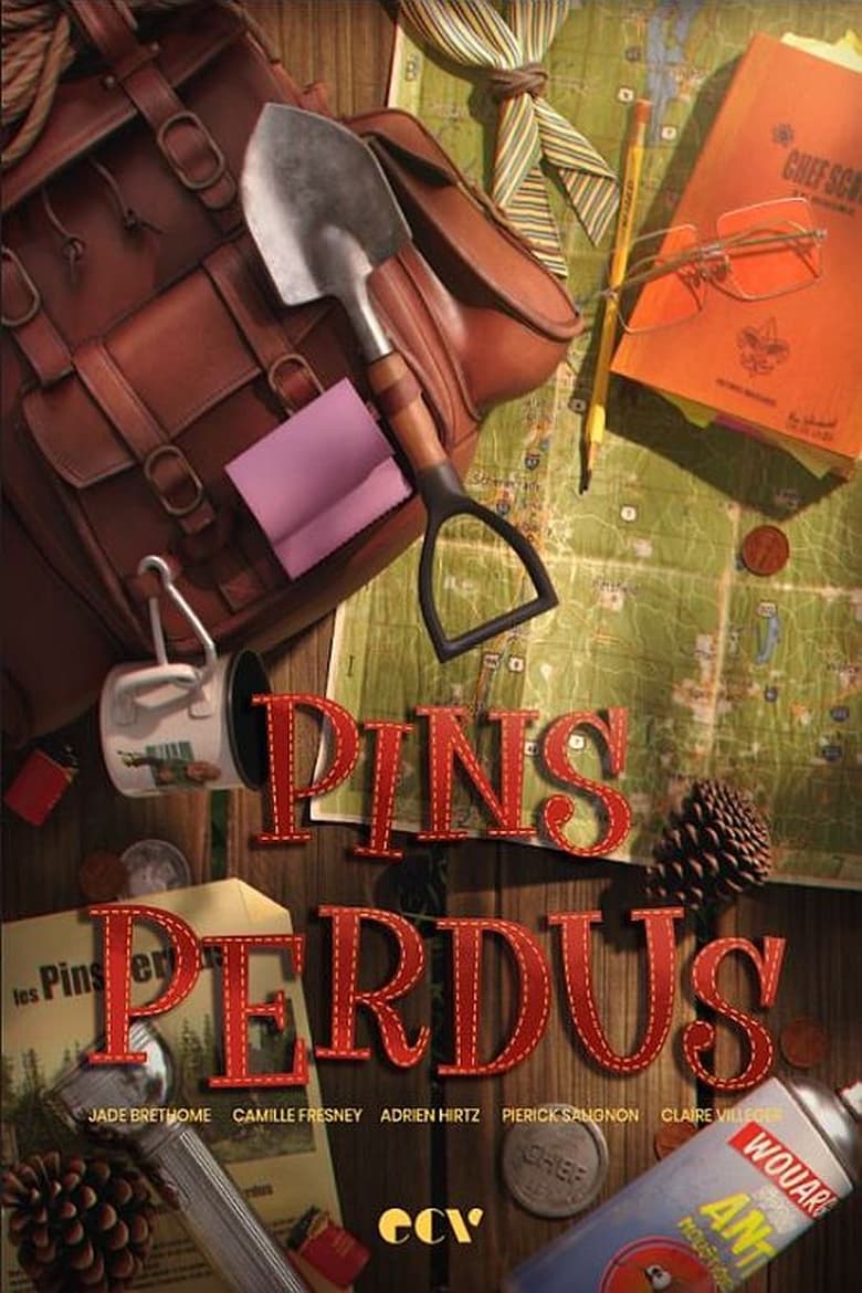 Poster of Pins perdus