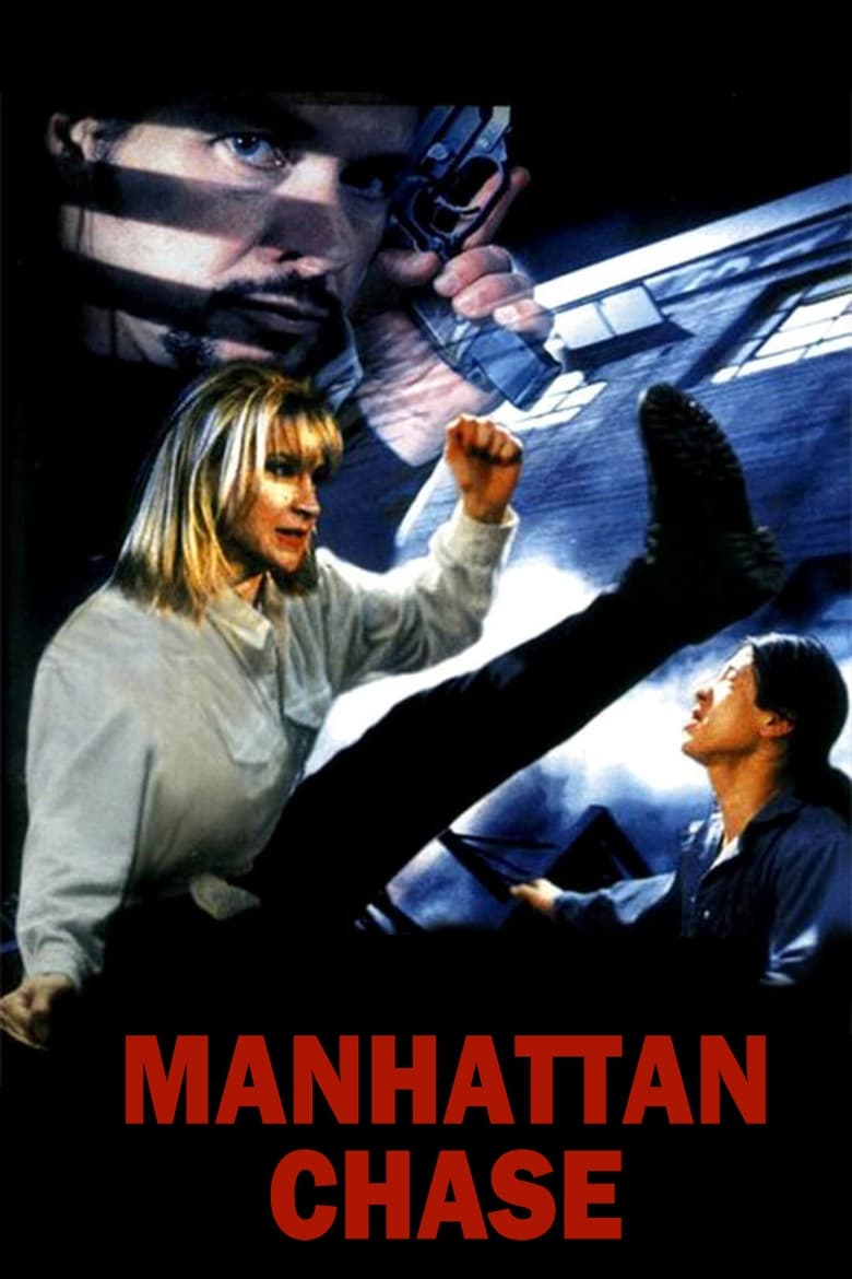 Poster of Manhattan Chase