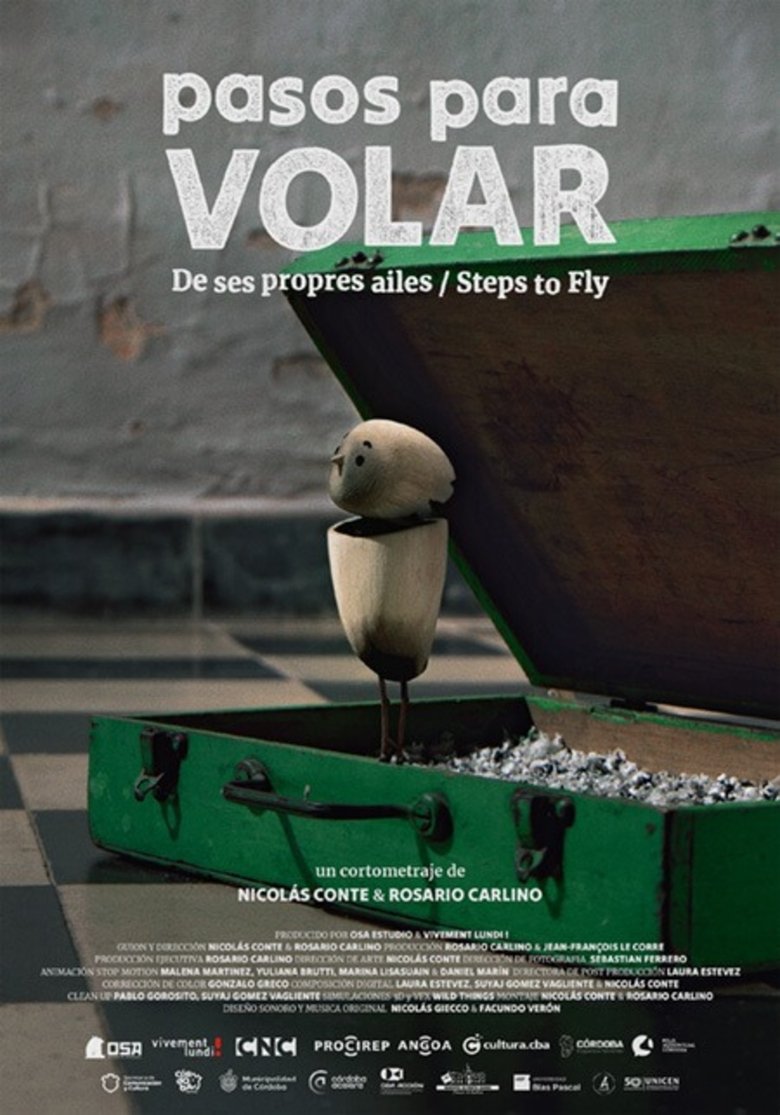 Poster of Steps to Fly