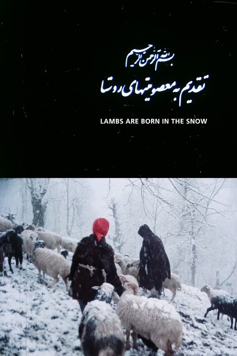 Poster of Lambs Are Born in the Snow