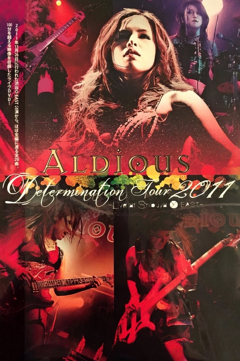 Poster of Aldious - Determination Tour 2011