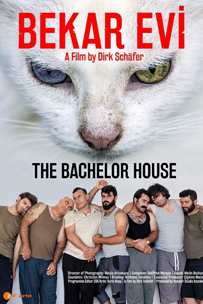 Poster of The Bachelor House