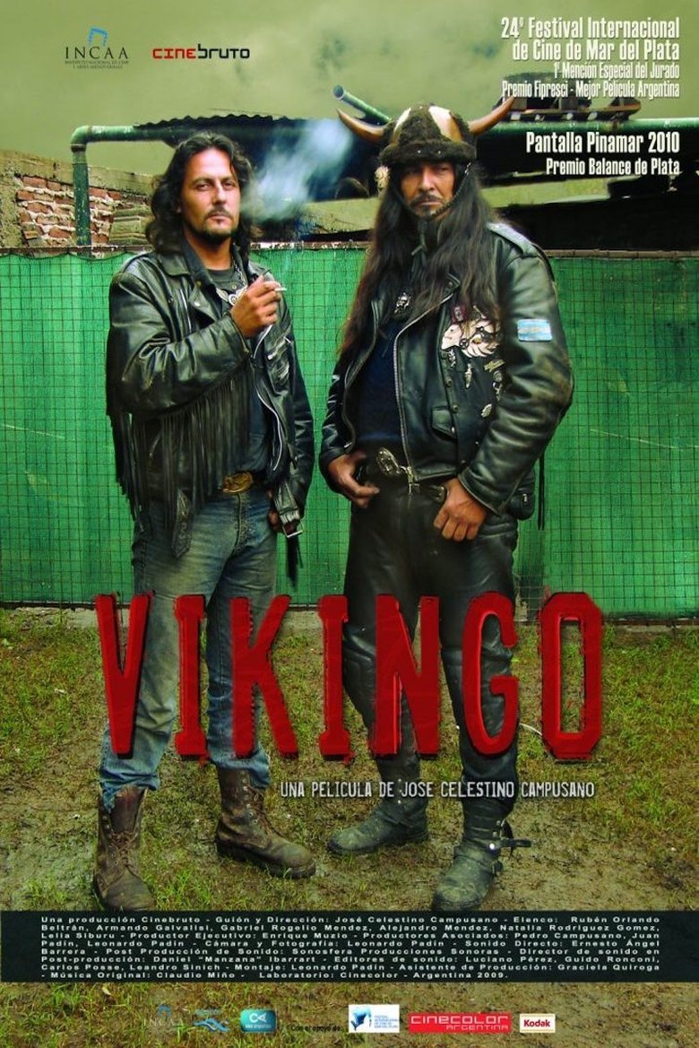 Poster of Vikingo