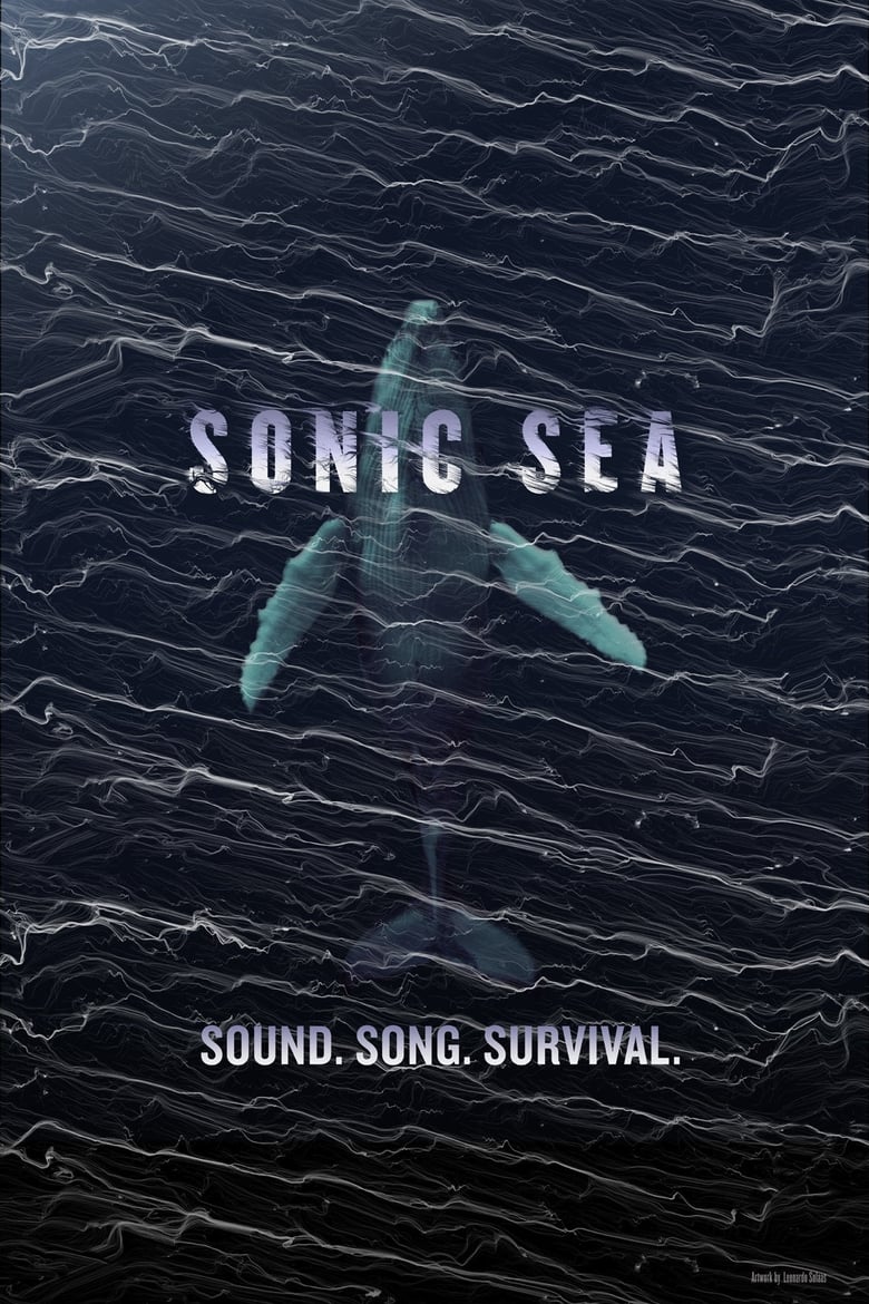 Poster of Sonic Sea