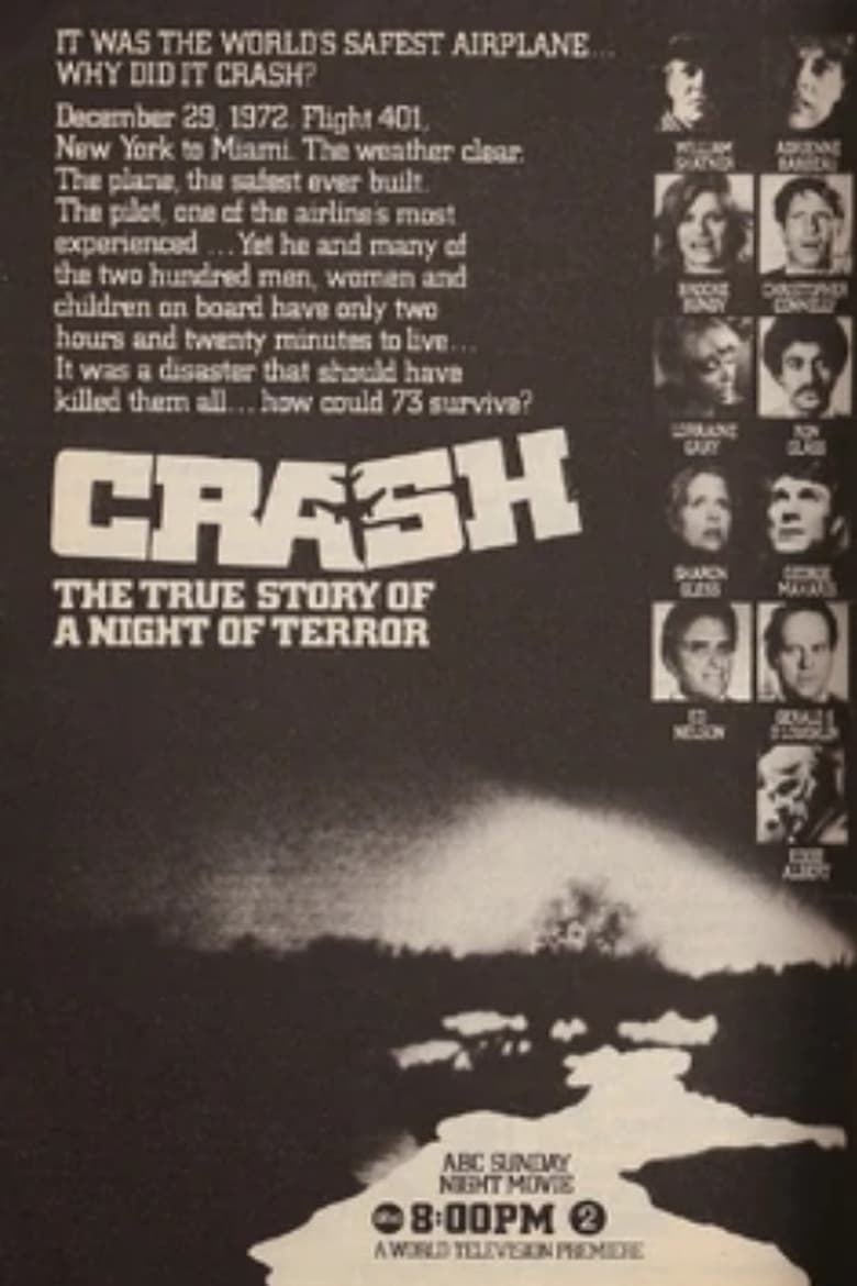 Poster of The Crash of Flight 401