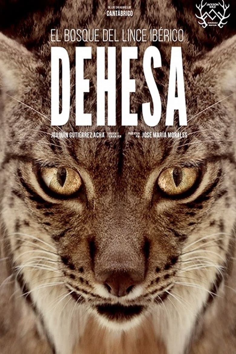 Poster of Dehesa: The Forest of the Iberian Lynx