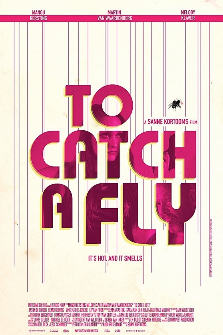 Poster of To Catch a Fly