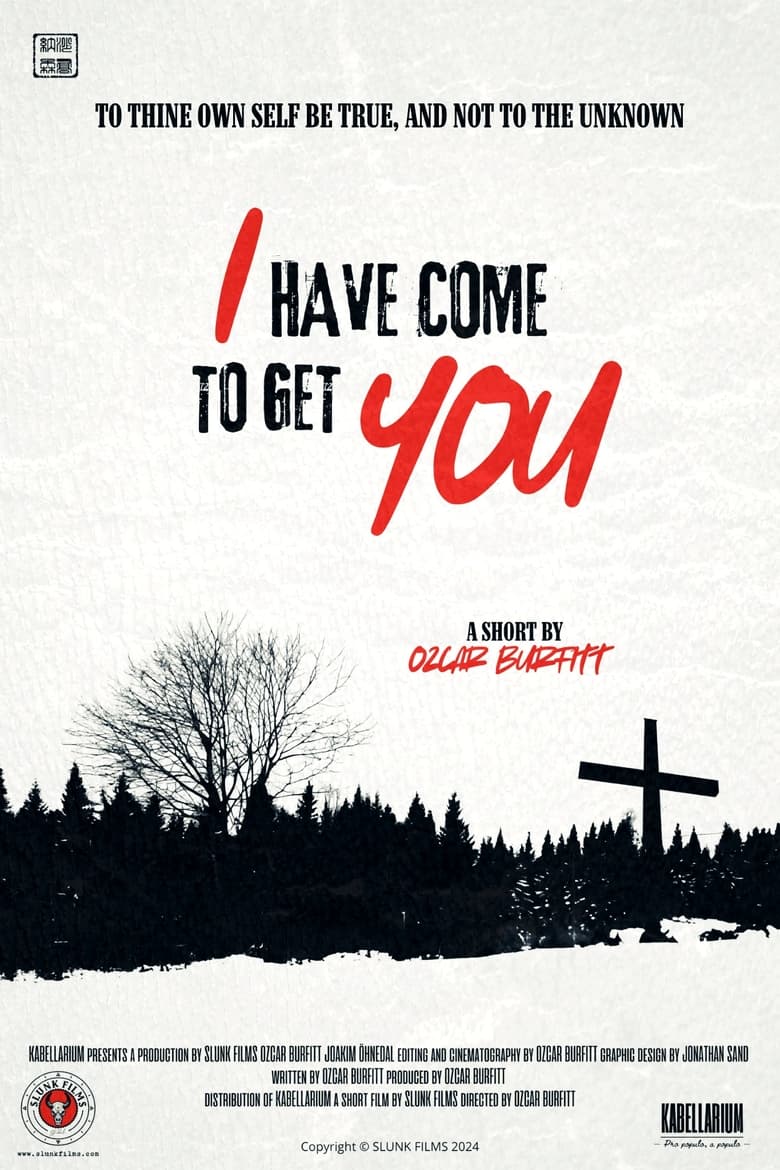 Poster of I Have Come to Get You