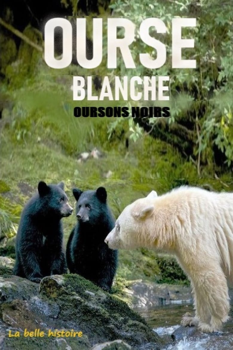 Poster of Ourse blanche, oursons noirs : la belle histoire