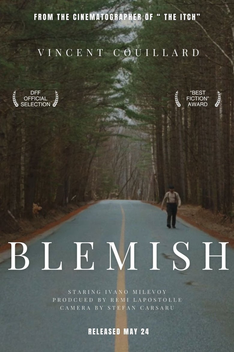 Poster of Blemish