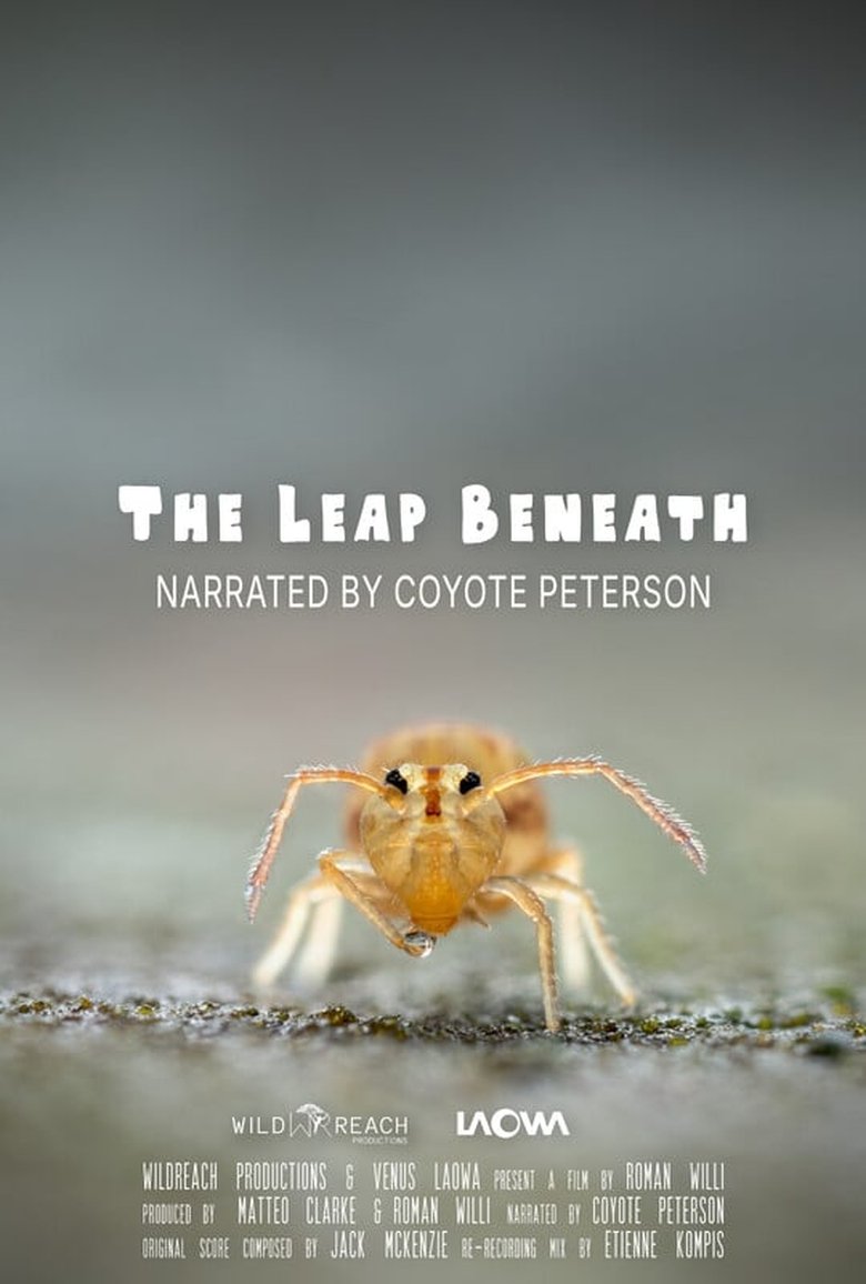 Poster of The Leap Beneath