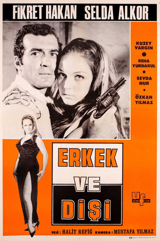 Poster of Erkek ve Dişi