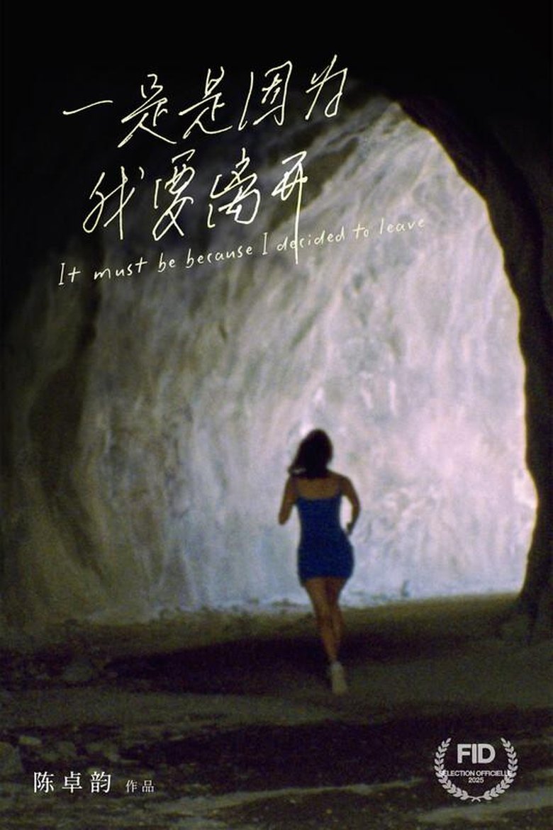 Poster of It Must Be Because I Decided to Leave
