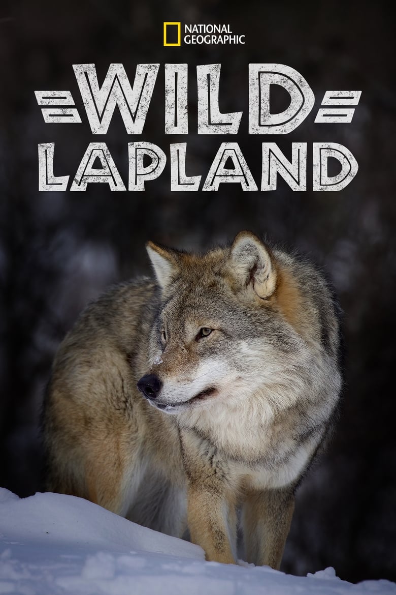 Poster of Wild Lapland