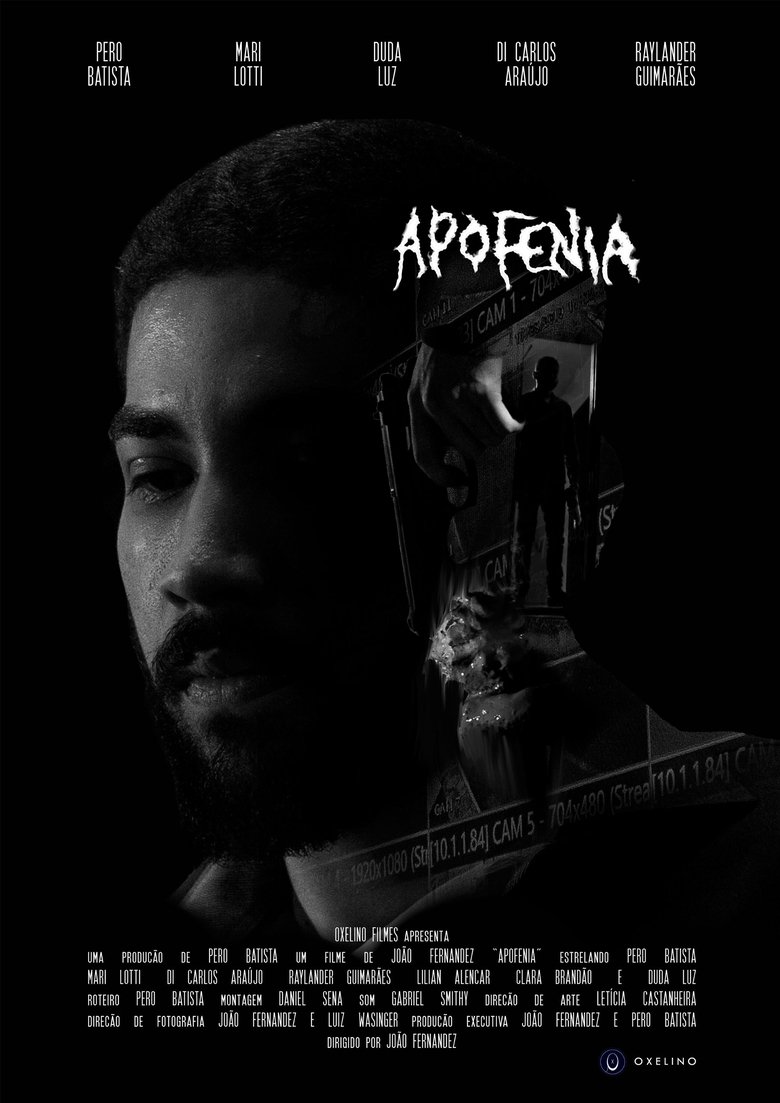 Poster of Apofenia