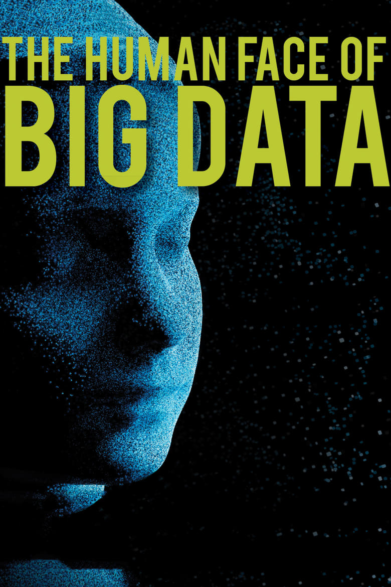 Poster of The Human Face of Big Data