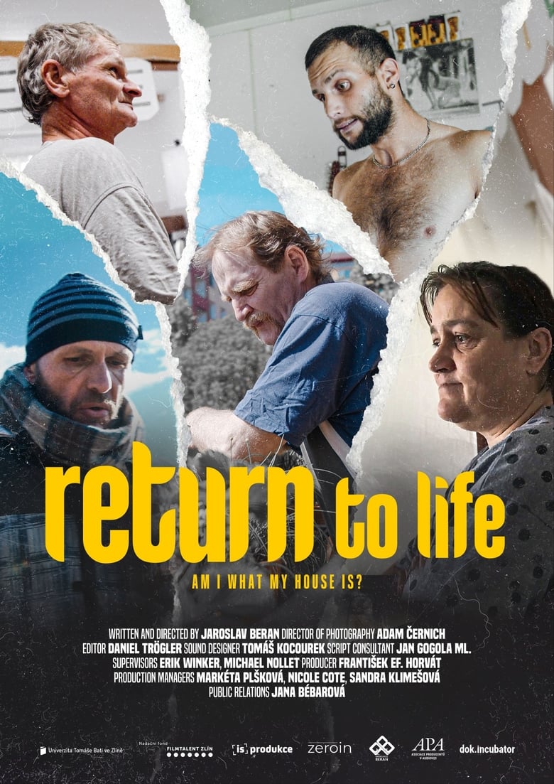 Poster of Return to Life