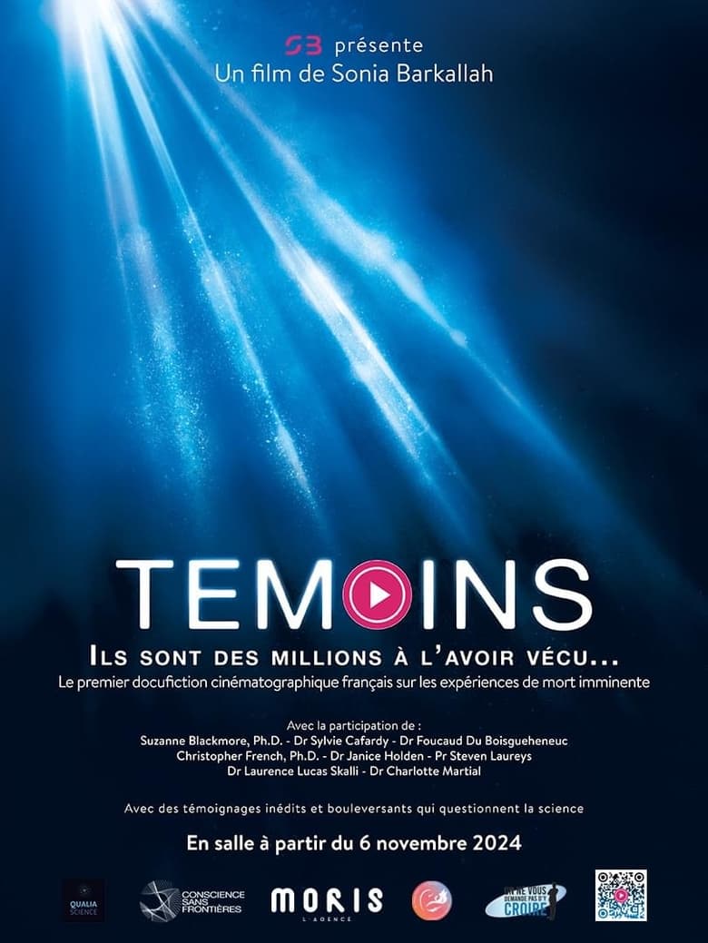 Poster of Témoins