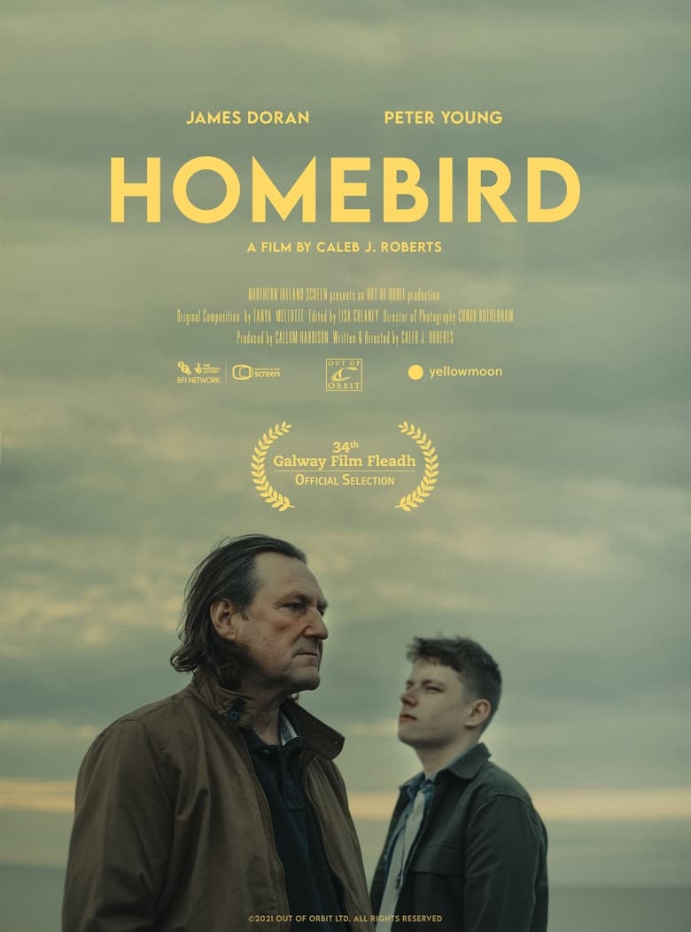 Poster of Homebird