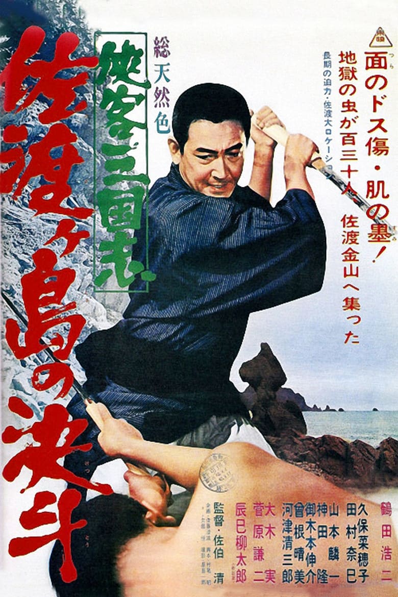 Poster of Kingdom of Samurai