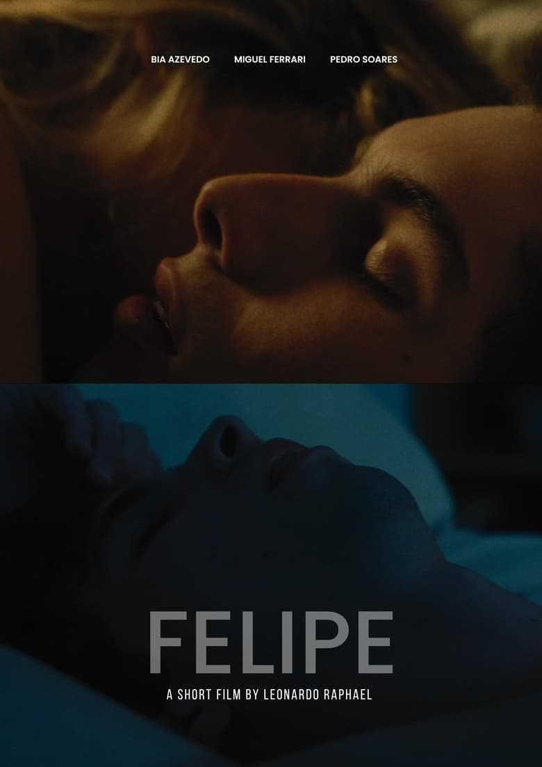 Poster of FELIPE