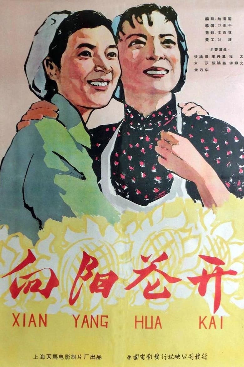 Poster of 向阳花开