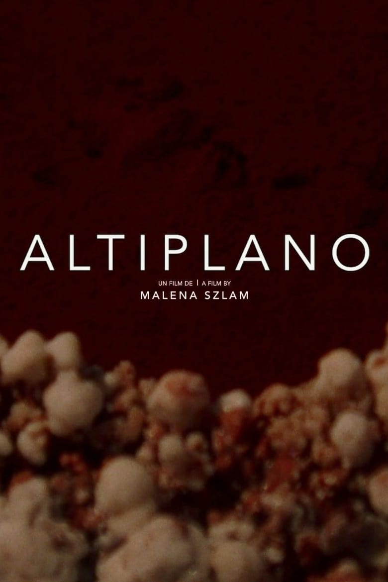 Poster of Altiplano