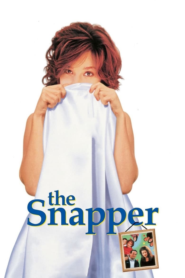 Poster of The Snapper