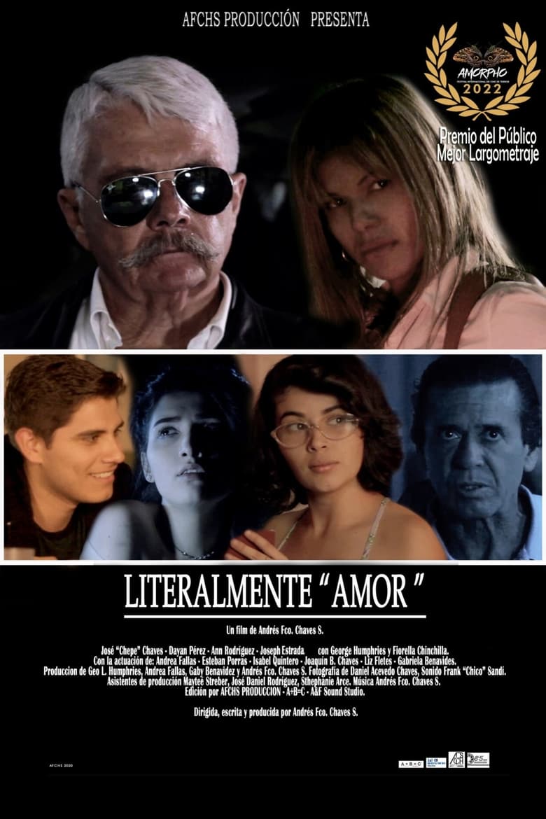 Poster of Literalmente "Amor"