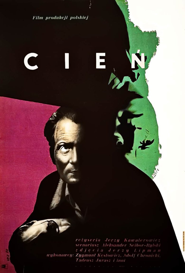 Poster of Shadow