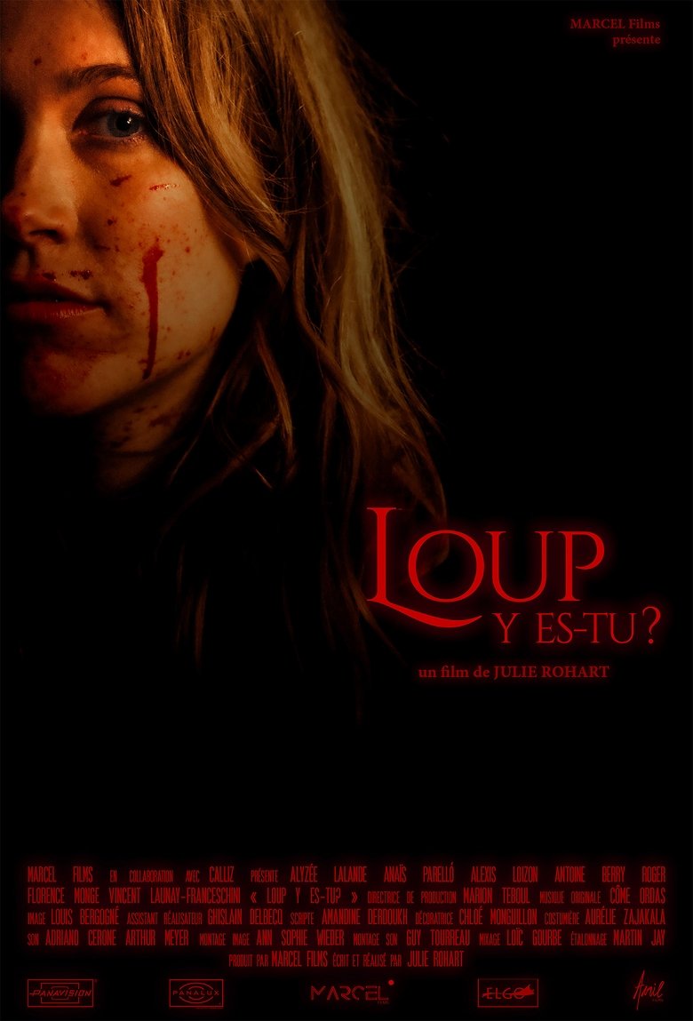 Poster of Loup y es-tu?