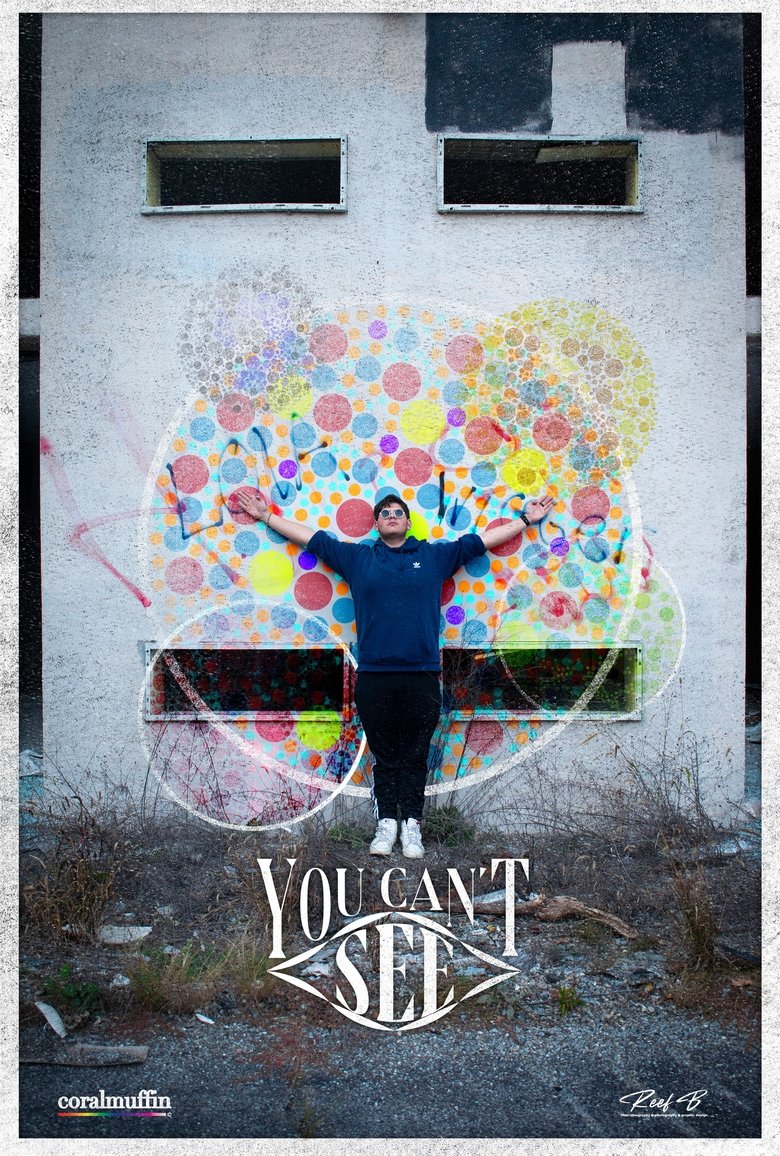 Poster of You Can't See