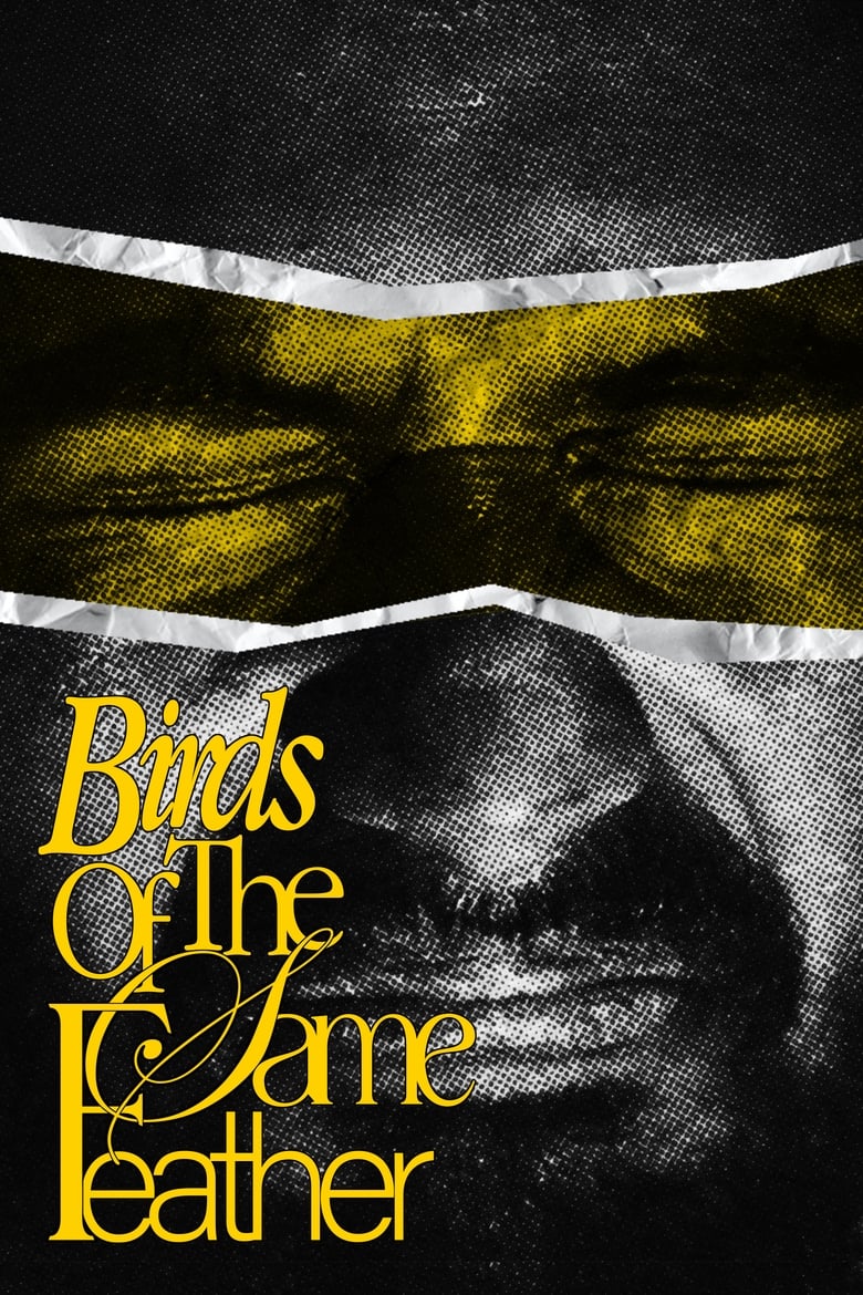 Poster of Birds Of The Same Feather.