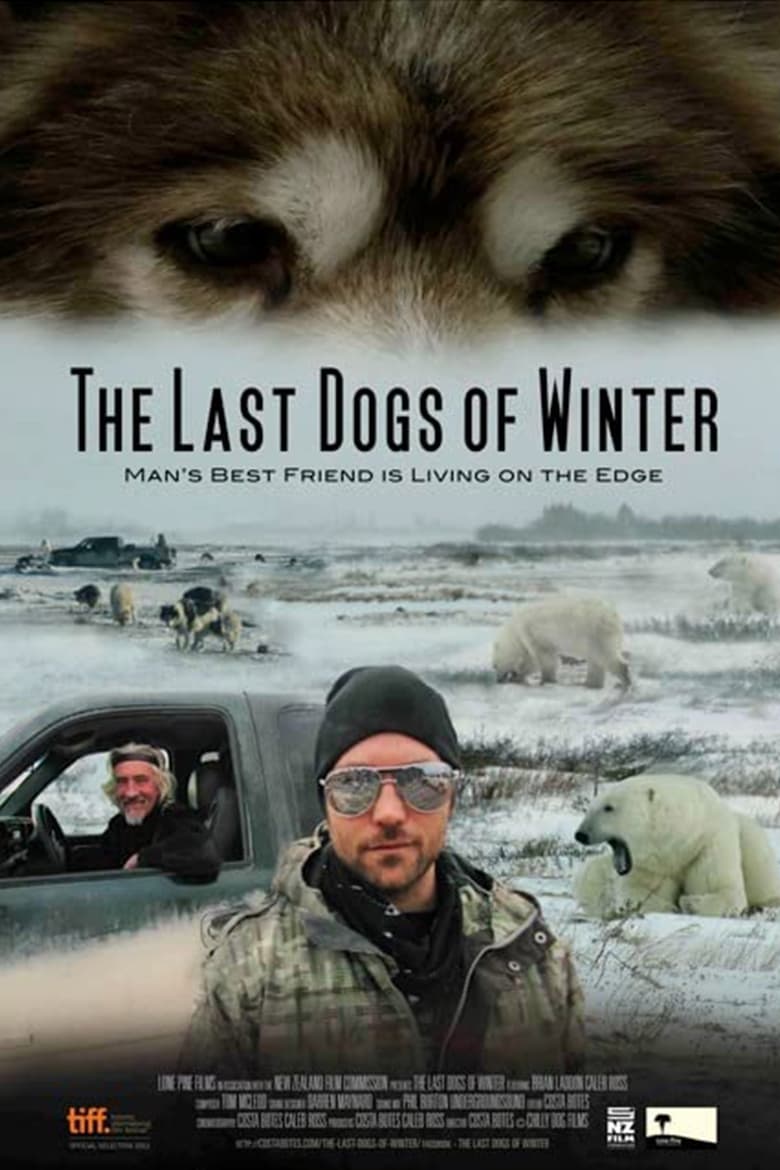 Poster of The Last Dogs of Winter