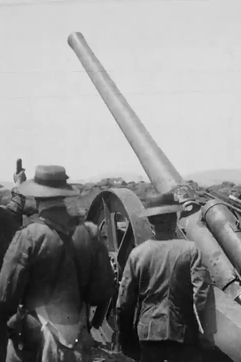 Poster of Naval Guns Firing at Colenso