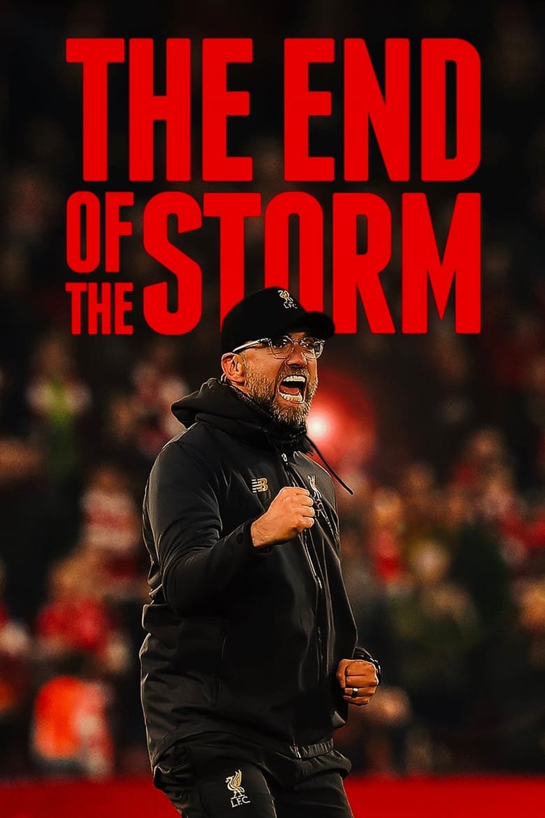 Poster of The End of the Storm