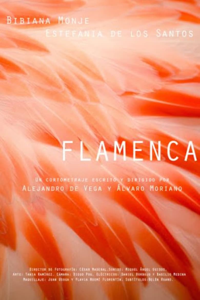 Poster of Flamenca