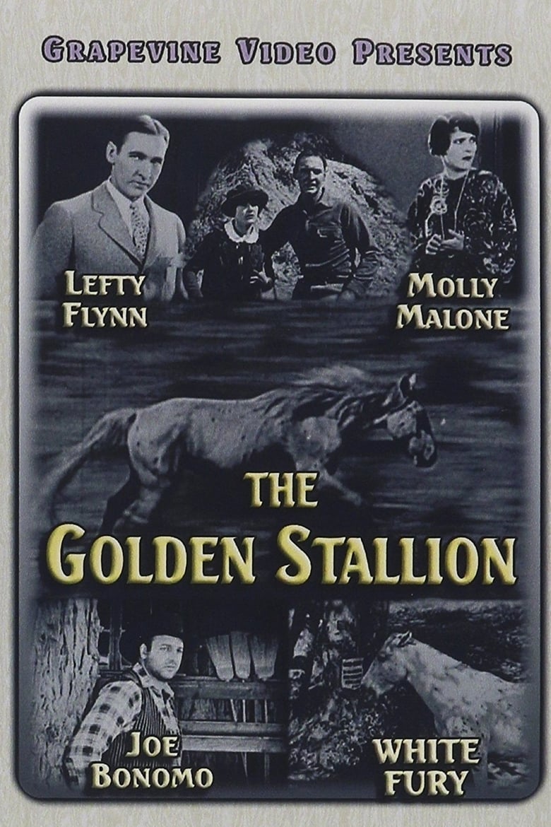 Poster of The Golden Stallion