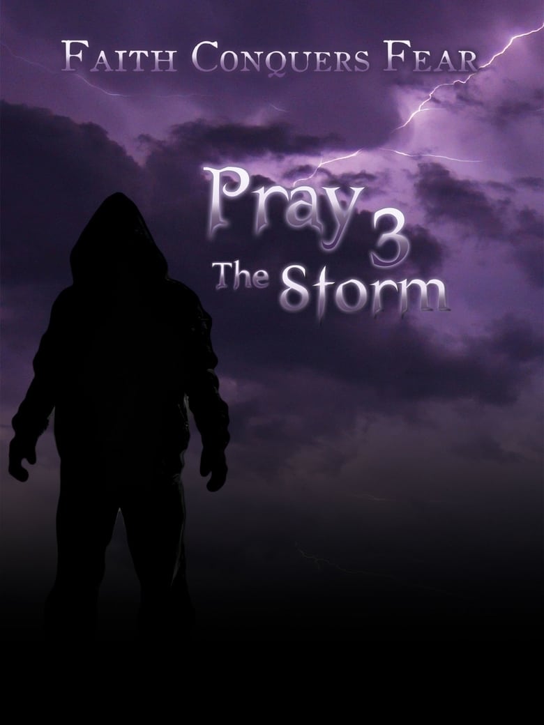 Poster of Pray 3D: The Storm