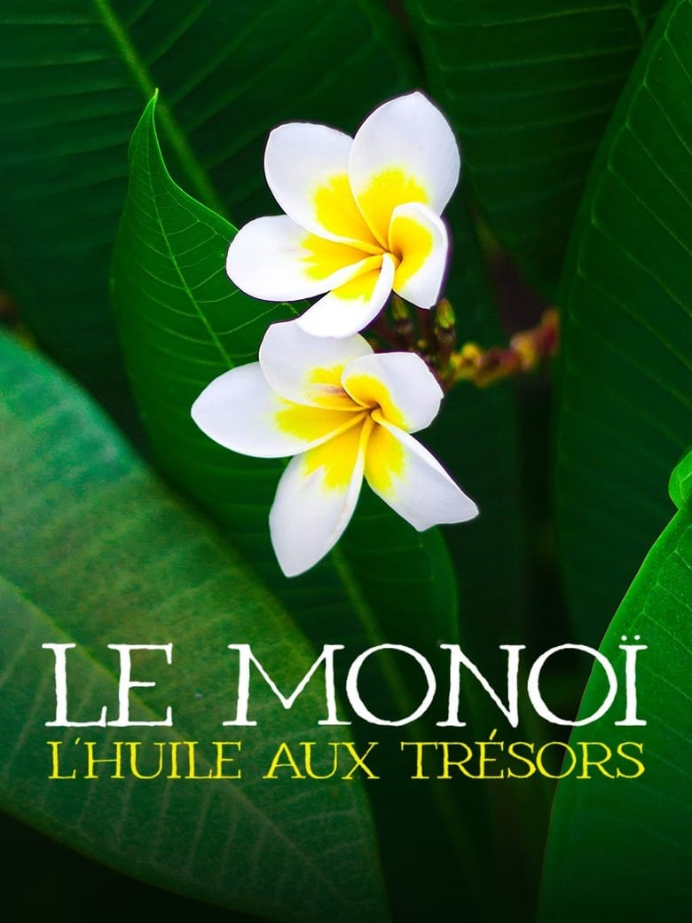 Poster of Le monoï : l'huile aux trésors