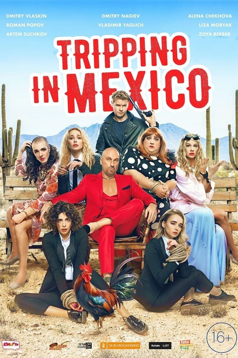 Poster of Tripping in Mexico