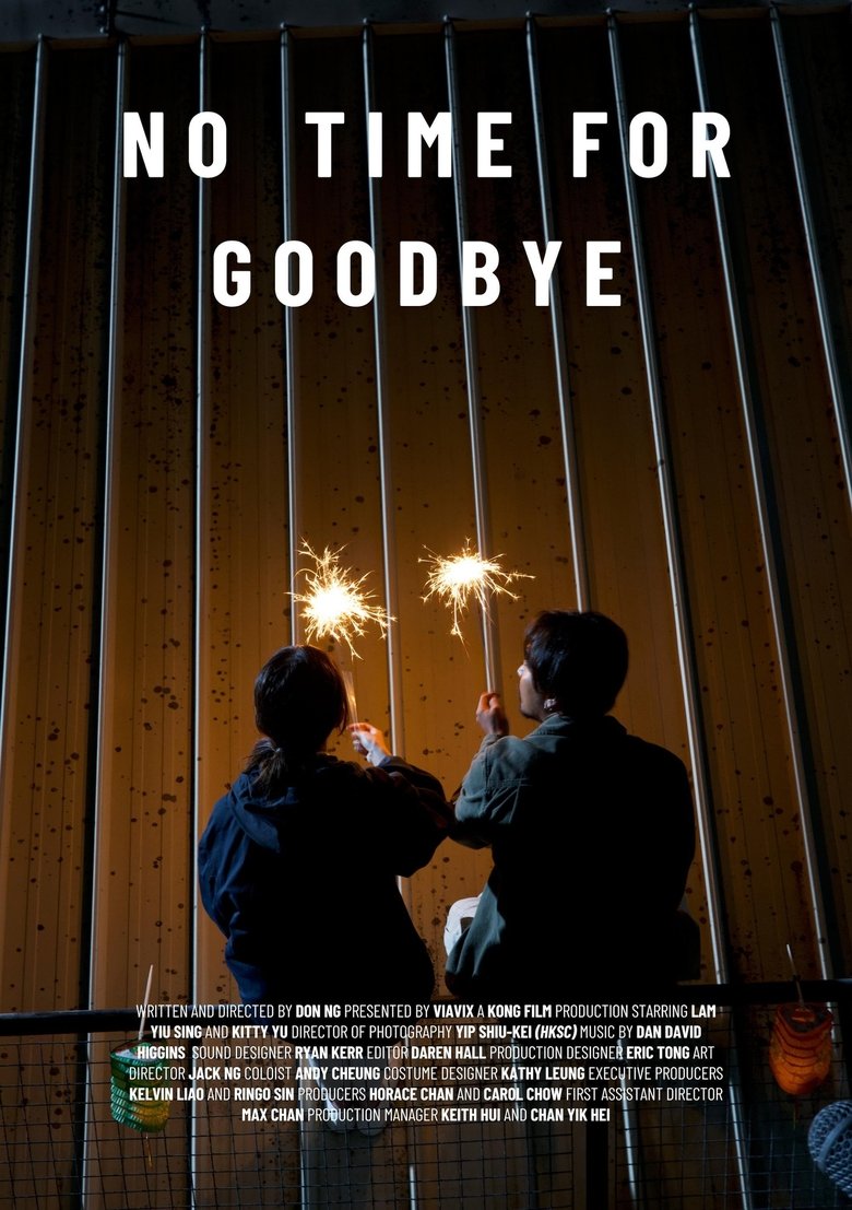 Poster of No Time For Goodbye