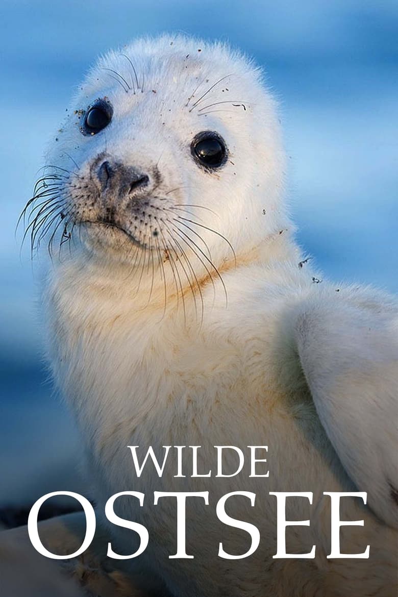 Poster of Wilde Ostsee