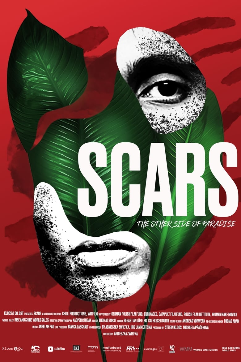 Poster of Scars