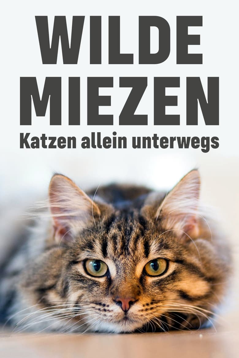 Poster of Wilde Miezen - Katzen allein unterwegs