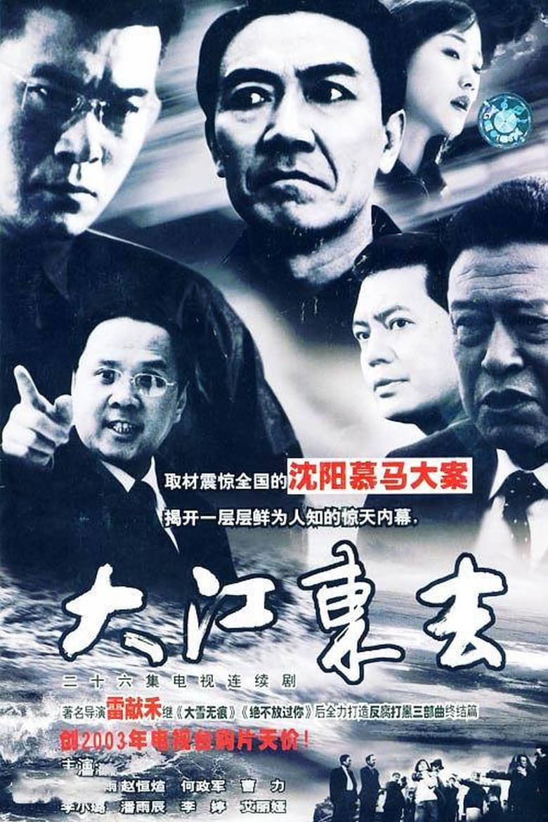 Poster of 大江东去