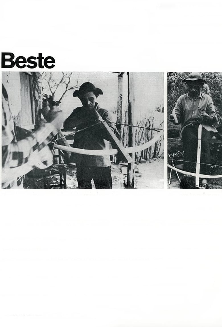 Poster of Beste