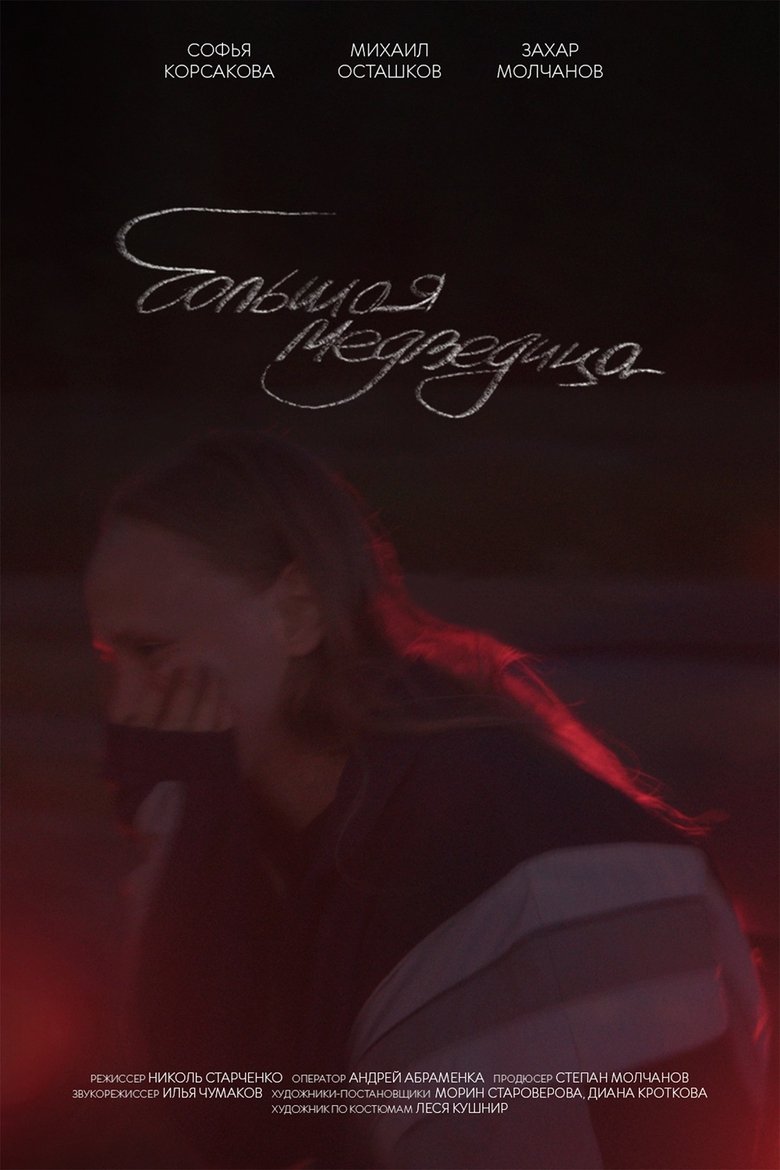 Poster of Большая медведица
